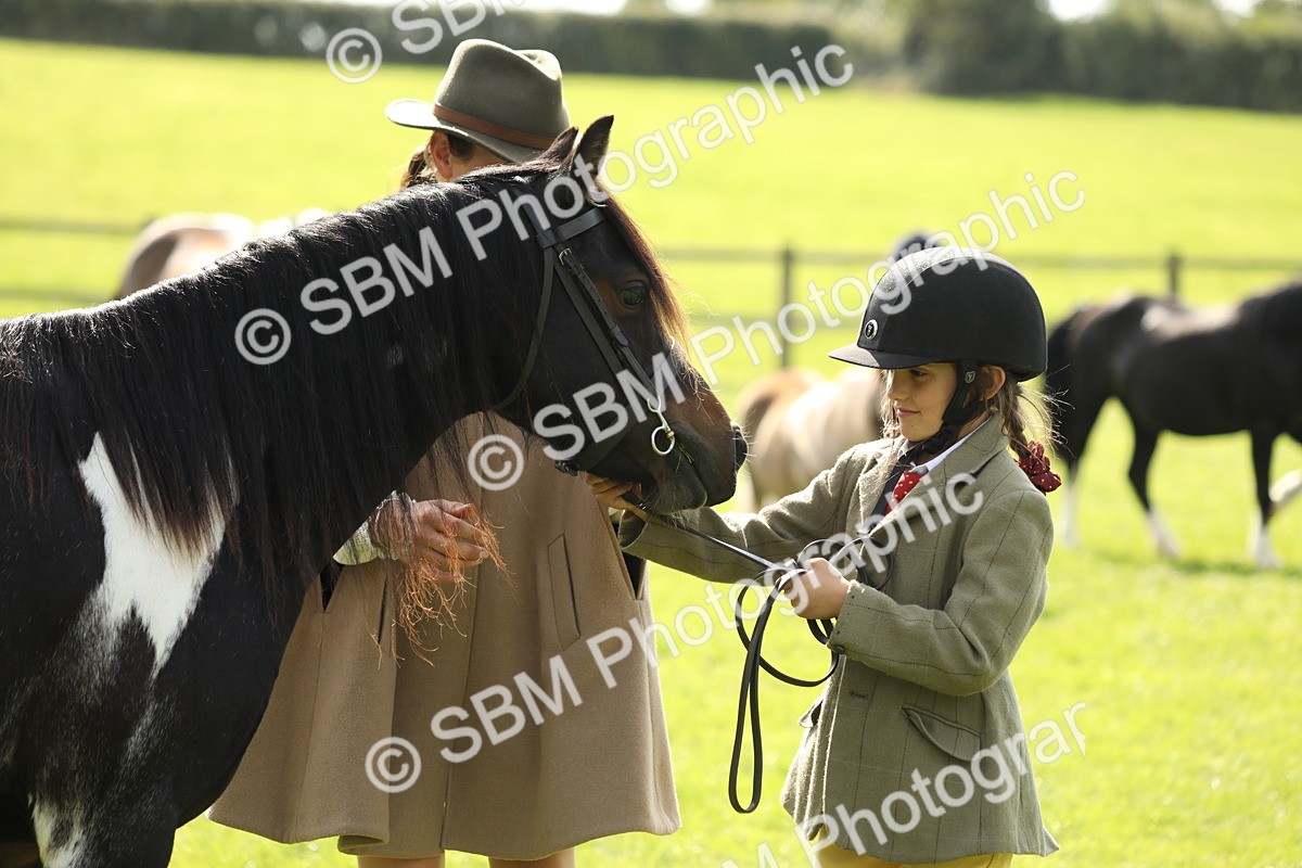 SBM_67777 - S39 - Junior Handler 8  Years & Under