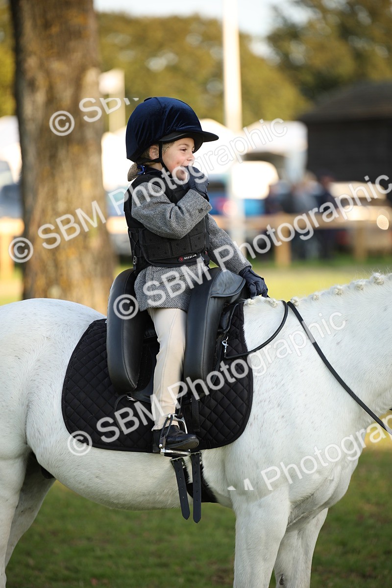 SBM_54481 - S27 - Mature Veteran - Ridden