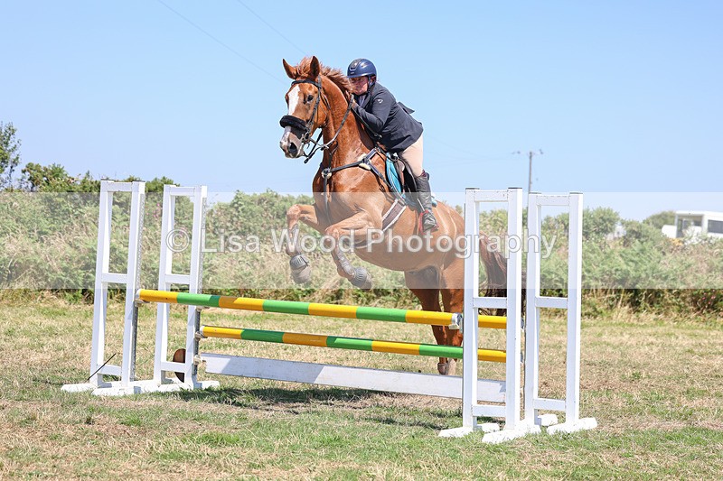 3E7A4415 - Class 10: Senior British Novice/90cm open
