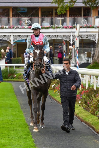 131023-Race 2-Lordship-9223 - Race 2 2.40pm William Hill Finale Handicap