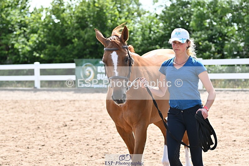 240717A-154114-02978 - Trot Up 3pm to 4pm