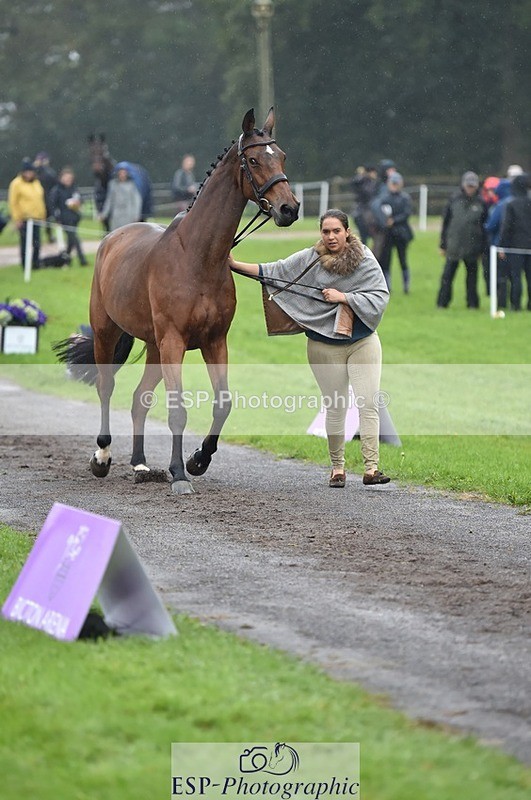 231018-121652-00177 - 025-LYRICAL.II-Harriet.Dickin-TrotUp