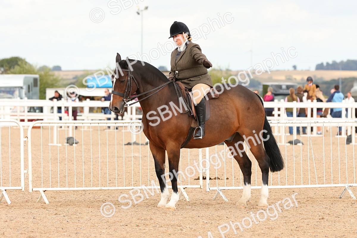 SBM_15548 - Class 214 - Ridden Show Cob