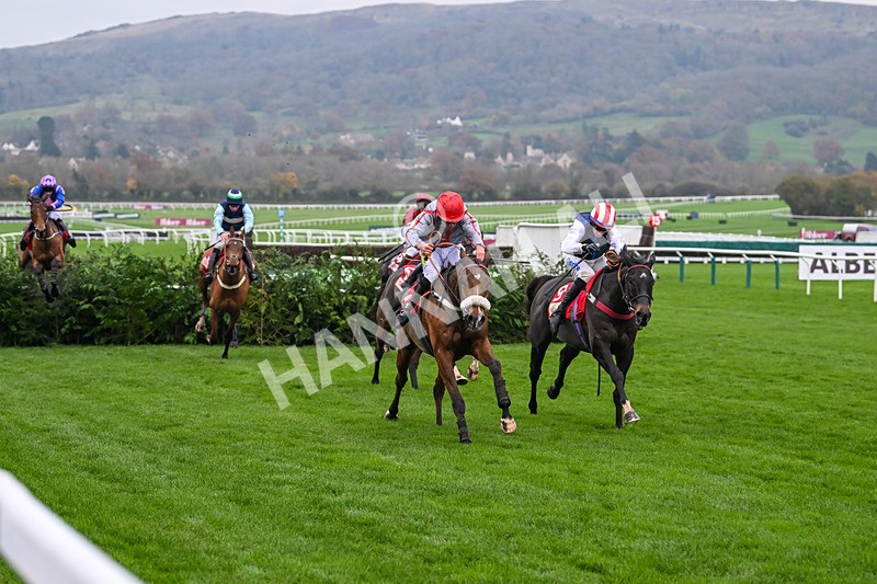 151124-Race 4-Sweet David-8223 - Race 4