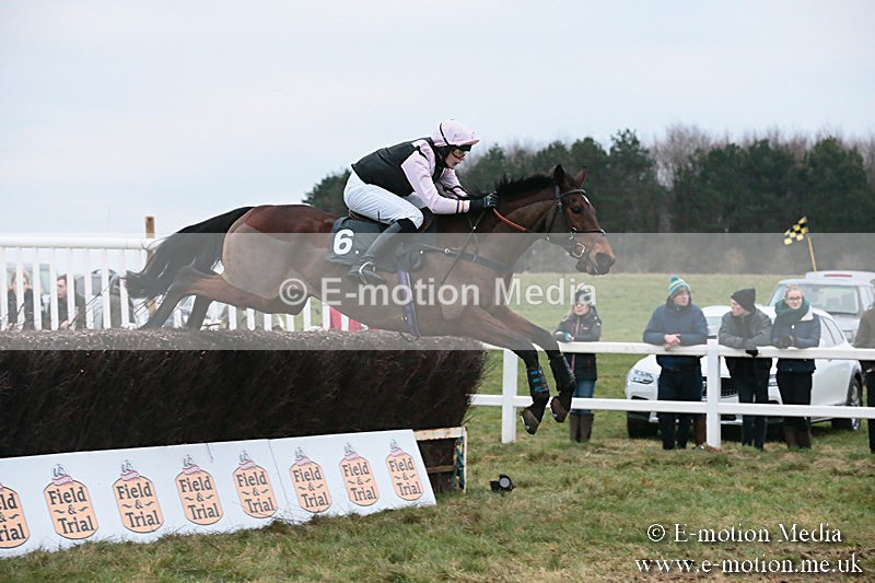 PtP 060119 598 - Larkhill Racing Club - Point-to-Point- 06/01/2019
