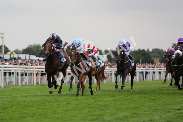 yr18082022r6-30 - Race 6 4.45 pm OR8wellness ebfstallions Nursery Handicap