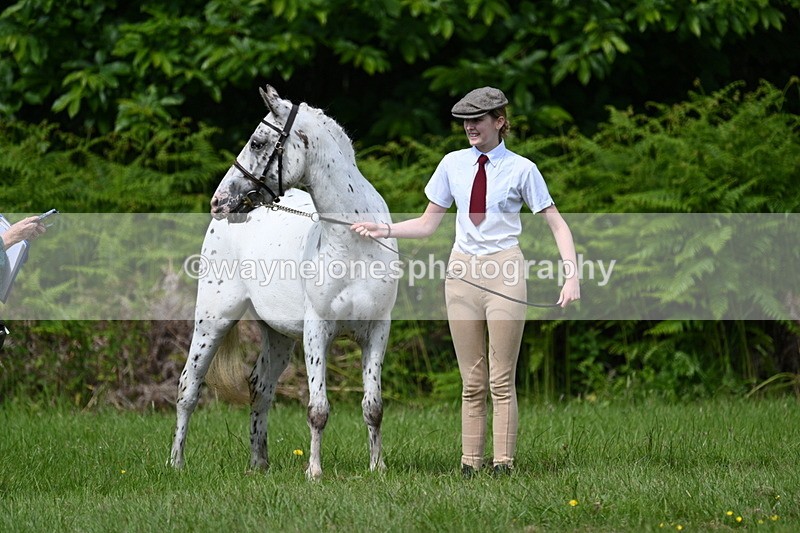 WJ7_1285 - Class 11 Condition & Turnout