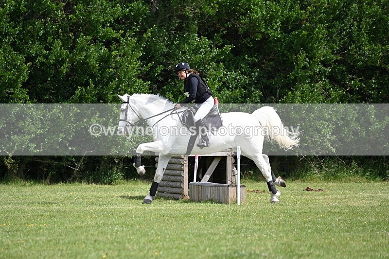 WJ6_2633 - Class 2 40cm