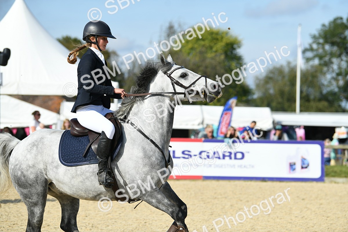SBM_61661 - j25 - Junior Horse 80cm Championship