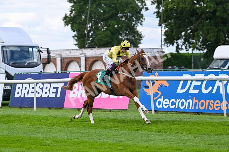 020825-Race 2-Zeus Olympios-2635 - Race 2