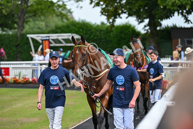 250725-Graham Lee IJF Stable Staff Stakes-B-3217 - The Graham Lee IJF Fund Stable Staff Stakes