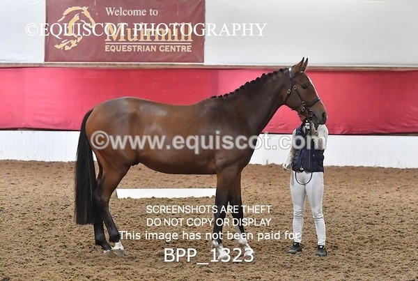 BPP_1323 - MORNING 9AM - 12PM