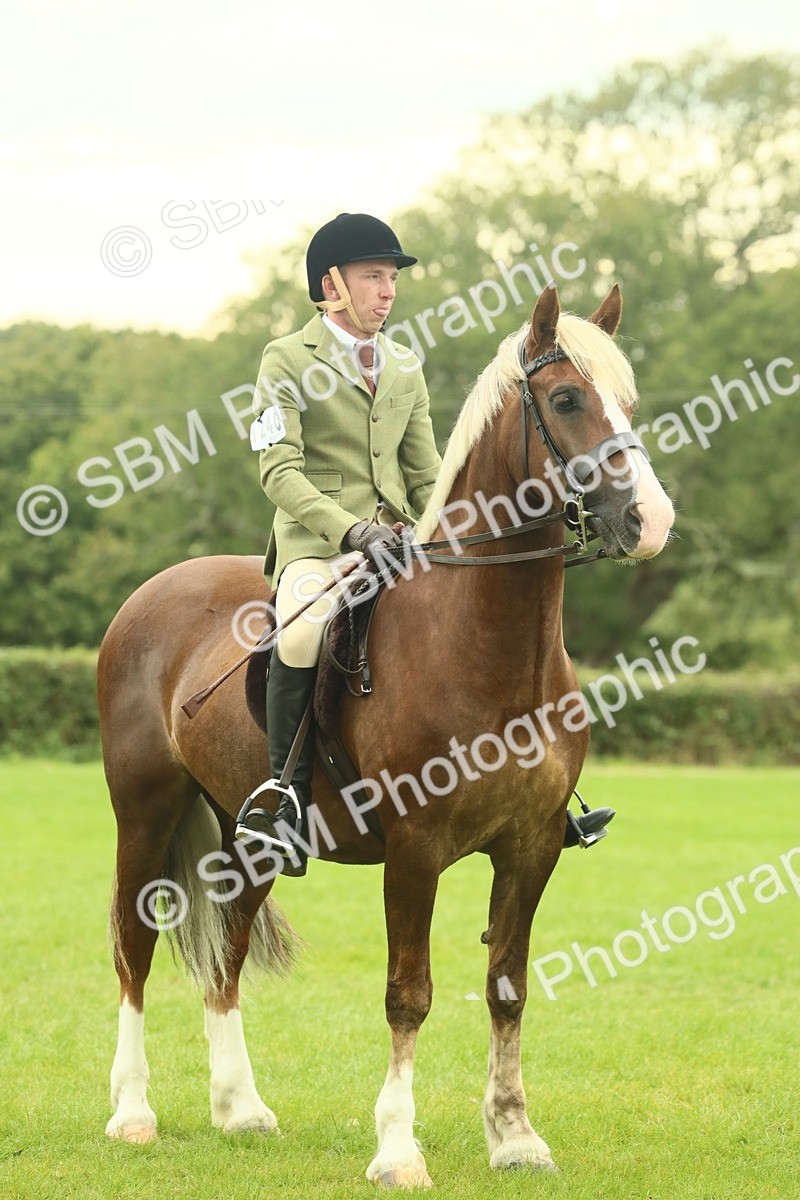 SBM_72225 - S60 - Mountain & Moorland Ridden Large Breeds