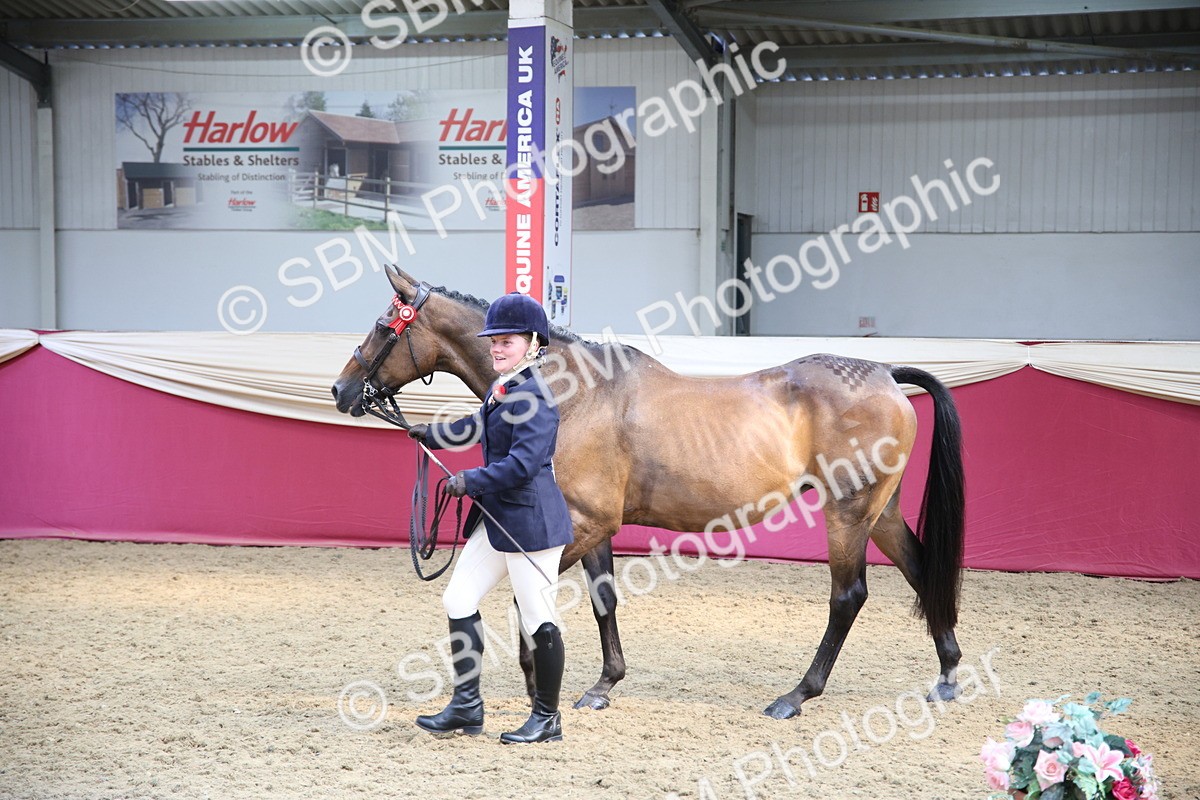 SBM_24273 - Class 905 - Supreme Final - Ridden Veteran