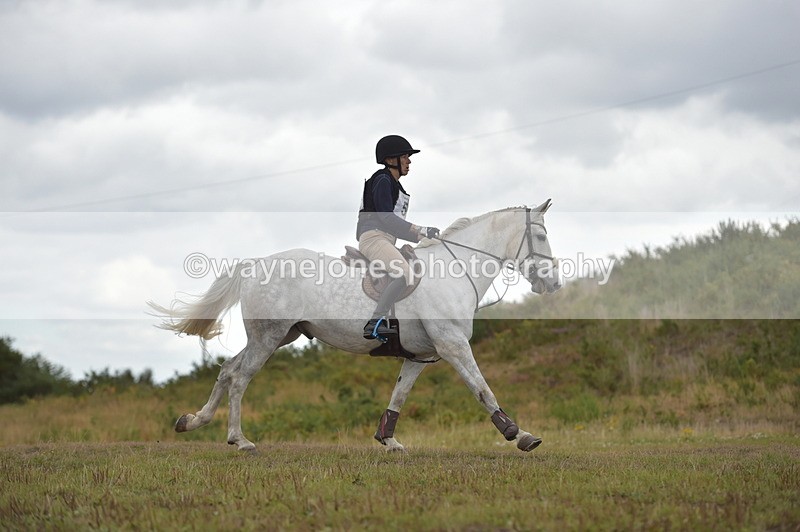 NGP_2225 - XC Time 11:20 to 11:36