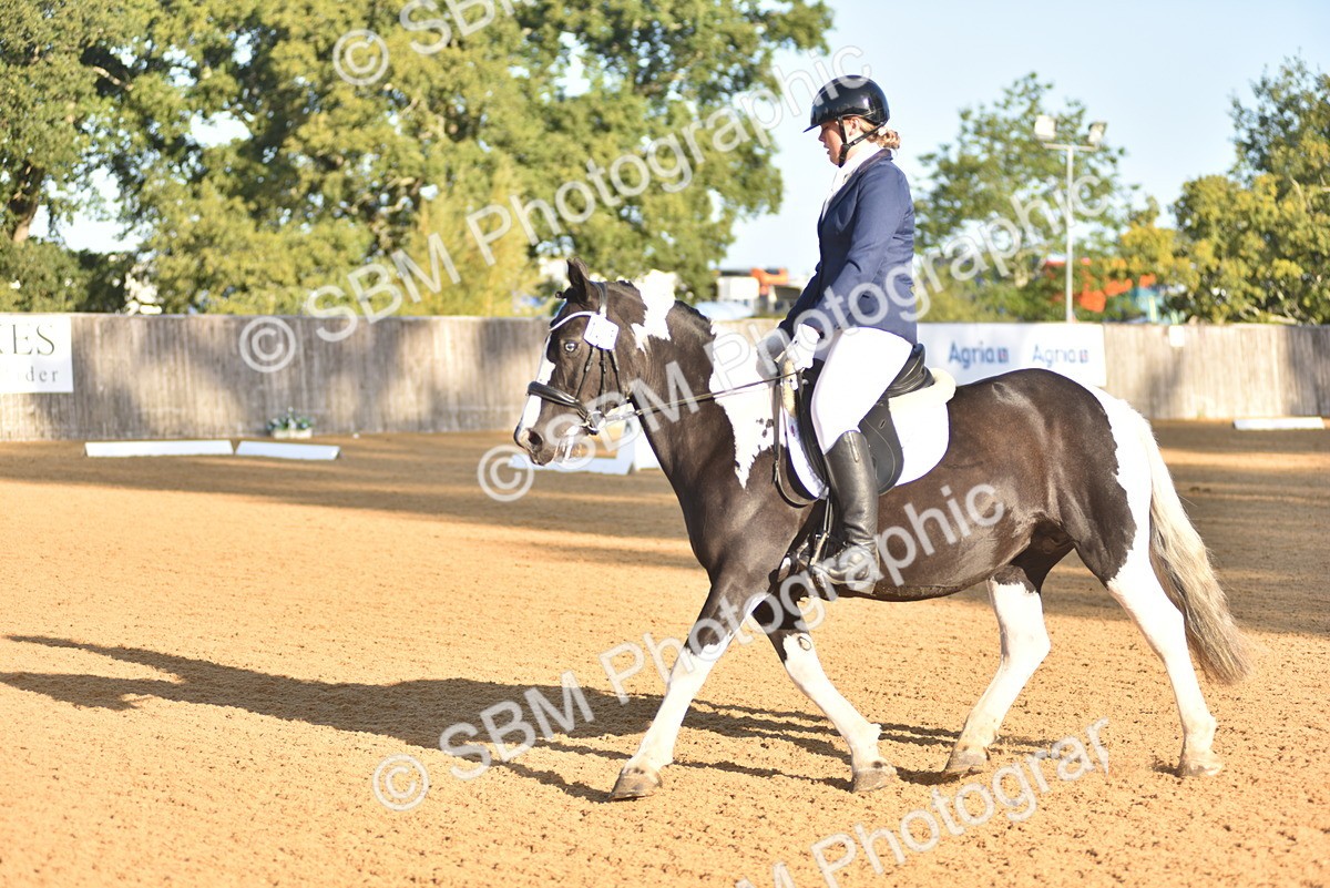 SBM_15683 - D4 - Small Tour Championship Intro 4