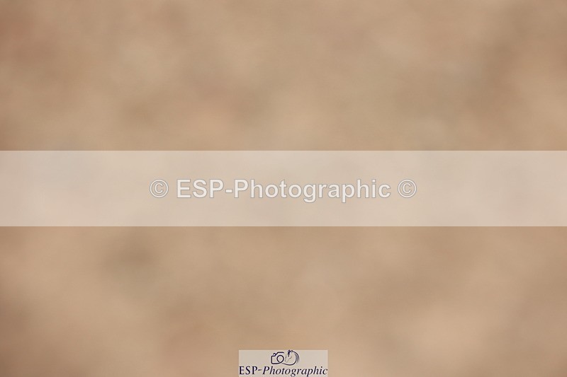 240621A-105046-00313 - Cls 6 BD Music Novice