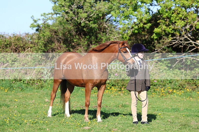 3E7A8425 - Class 12: M & M Small Breeds