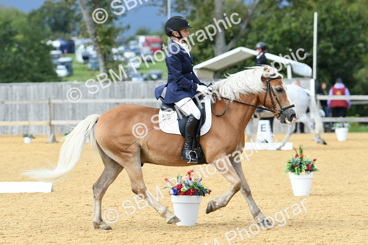 SBM_10917 - D28 Elementary Taster Elementary 42