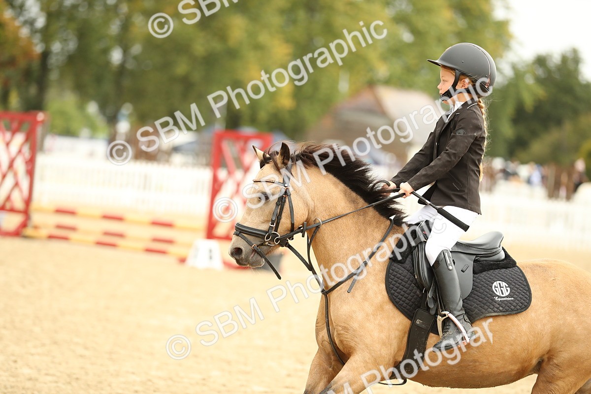 SBM_34268 - J60 Clear Round 50cm