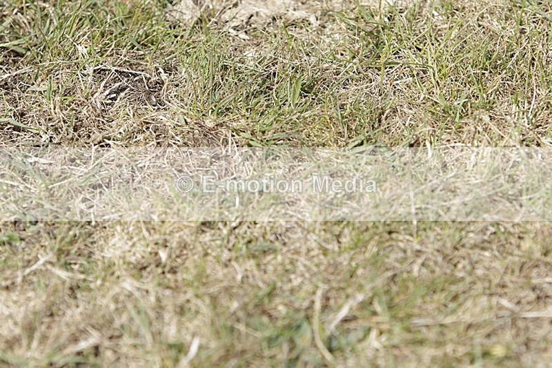 BVHT 140517 I-746 - Class 1 SJ Intermediate 14/05/17