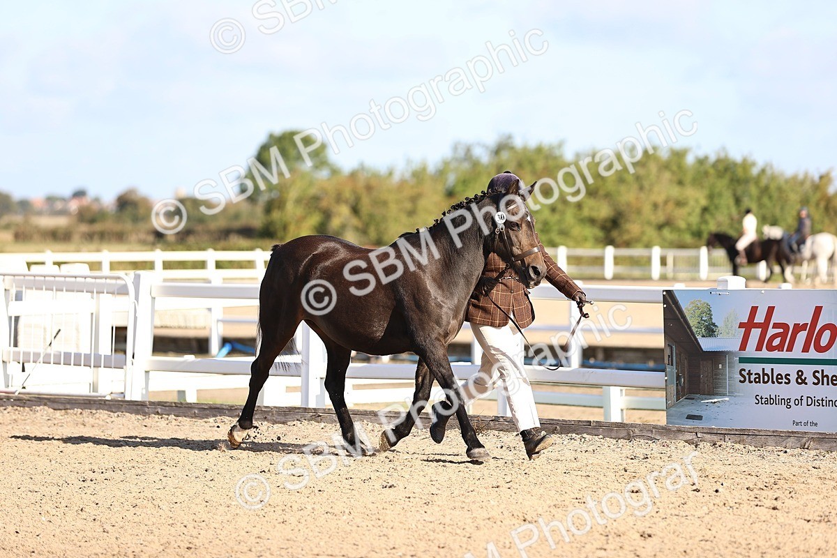 SBM_08465 - Class 402 - IH Veteran Pony