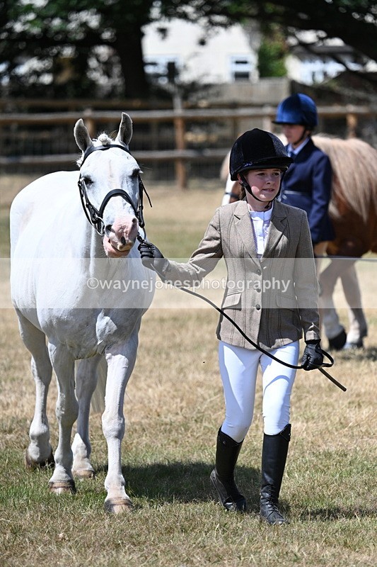 WJ7_2227 - Class 5 Most Handsome Gelding (up to 14.2hh) in hand