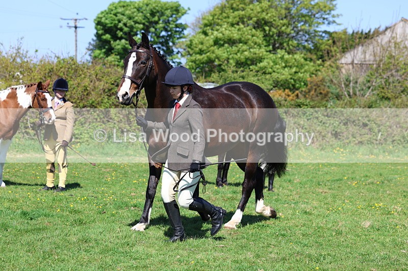 3E7A9853 - Class 17: Young Handler
