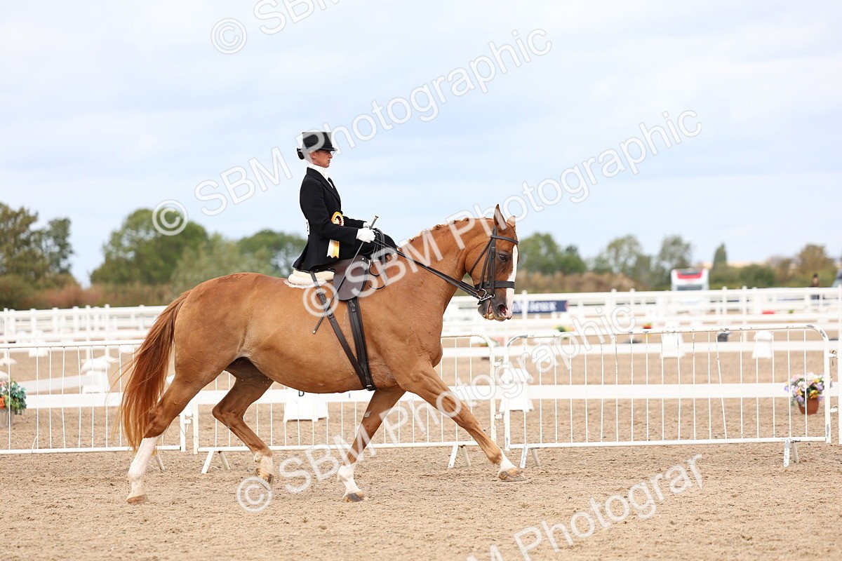 SBM_03490 - Class 24 - SSA Concours d'elegance (any age)