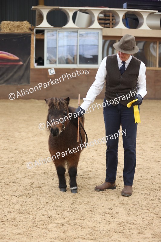 20251109-0353 - Class 13 - Mares 4 Years and Over