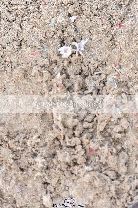 230511A-170619-01481 - Quest Cls 5 Prelim