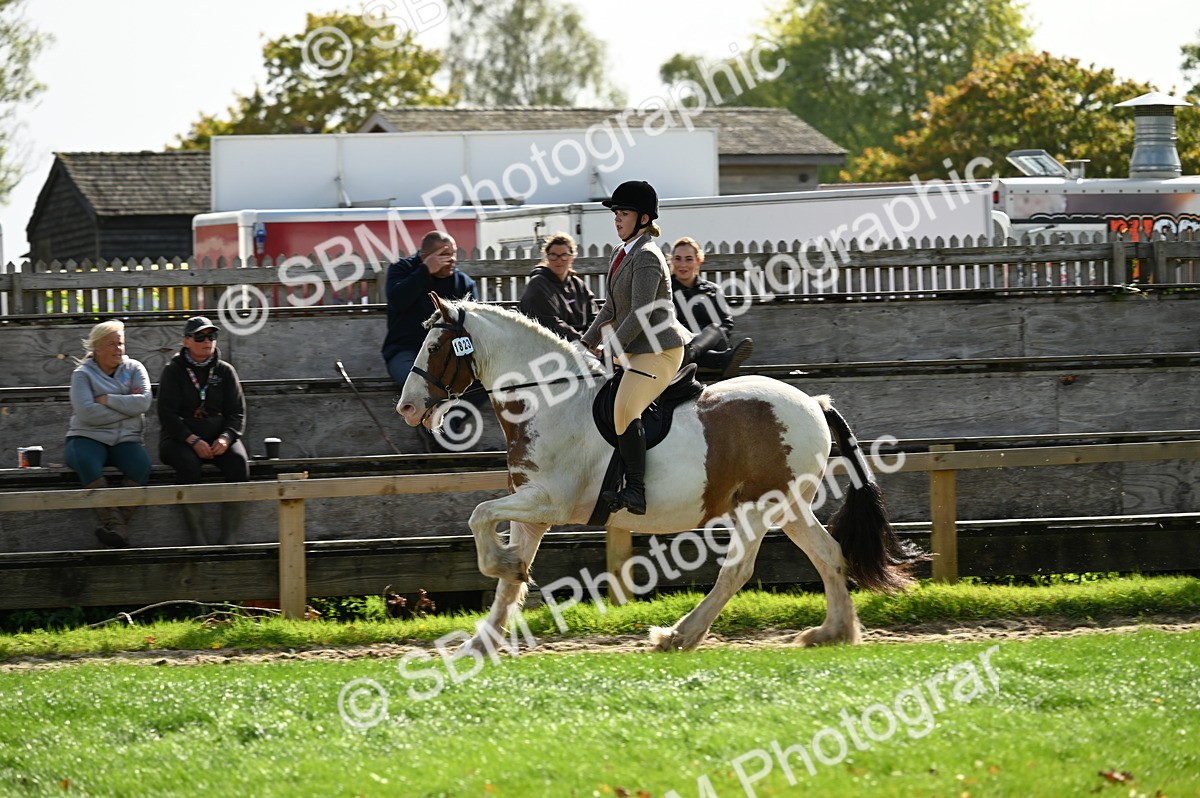 SBM_01847 - S2 - TSR Ridden Horse Showing
