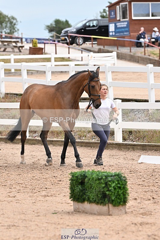 250716-144037-01294 - Trot Up 2.30 to 3.30