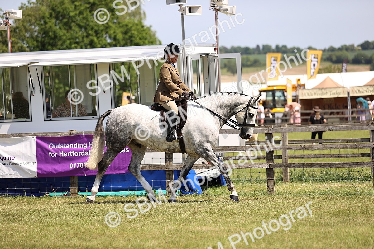 SBM_15025 - Class 79-80 - LIHS BSHA Rising Star Ridden Hunter