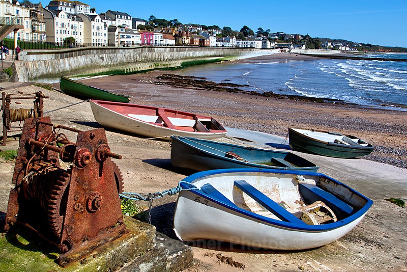 Boat Cove Dawlish - Dawlish (mainly black swans)