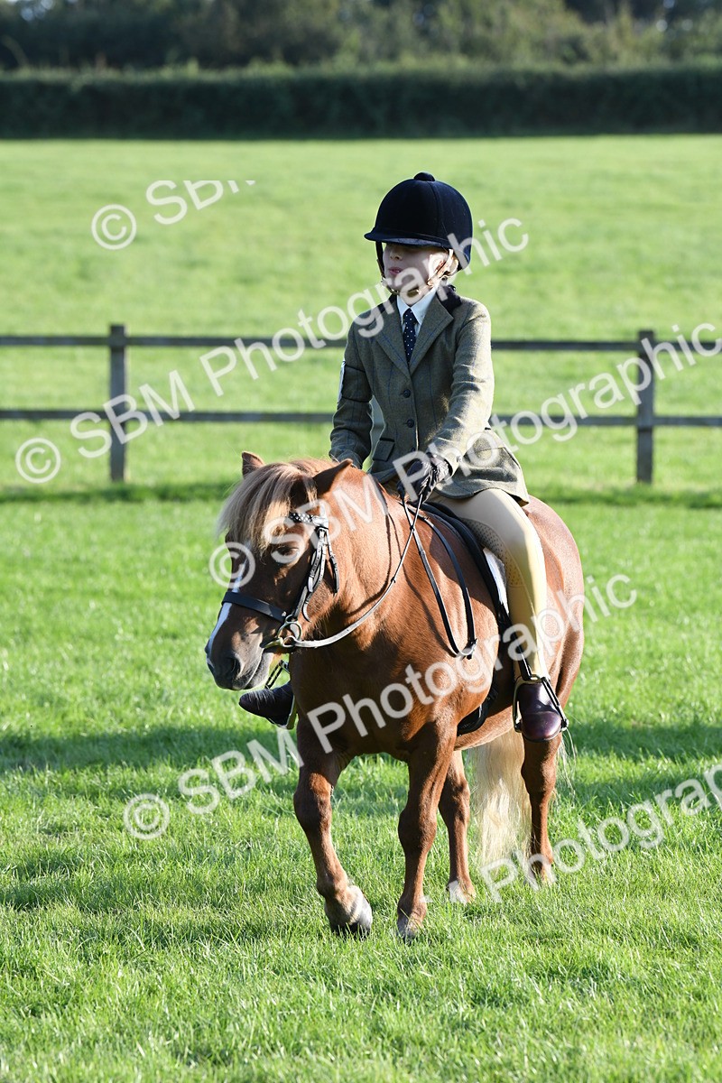 SBM_54145 - S23 - 1st Ridden Mountain & Moorland Pony