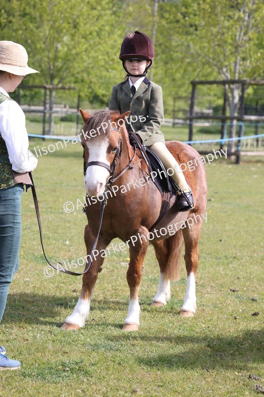 20260426-0390 - Class 30 - Tiny Tots Lead Rein