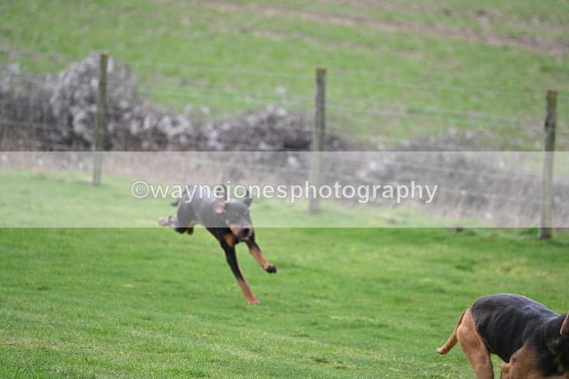 WJ6_8974 - Line Three