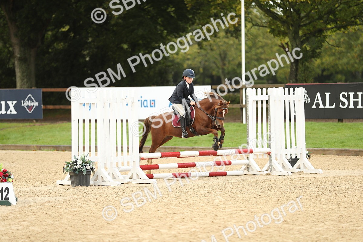 SBM_34227 - J60 Clear Round 50cm