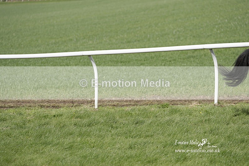 PtP PR 100423 225 - Pony Racing Lockinge 100423