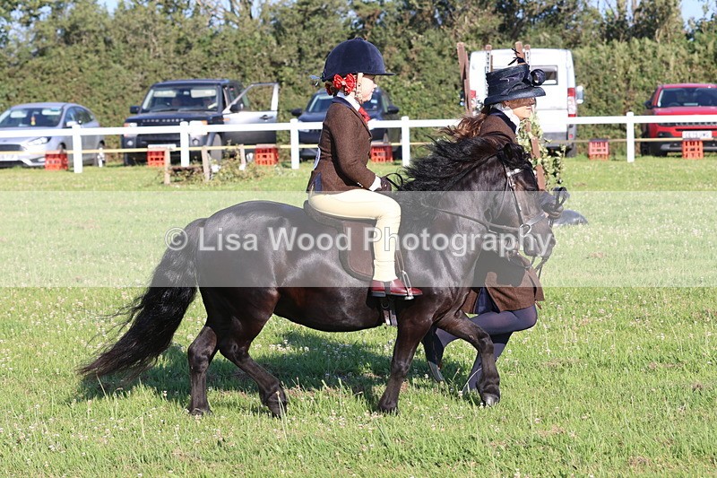 JPP_0845 - Class 16: Cornish Combination Leading Rein