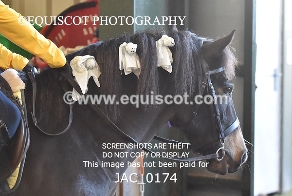 JAC_0174 - CLASS 5 Progressive Show Jumping - (0.60m)