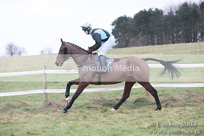 PtP 230119 277 - Royal Artillery Point-to-Point  - Larkhill  - 26/01/19
