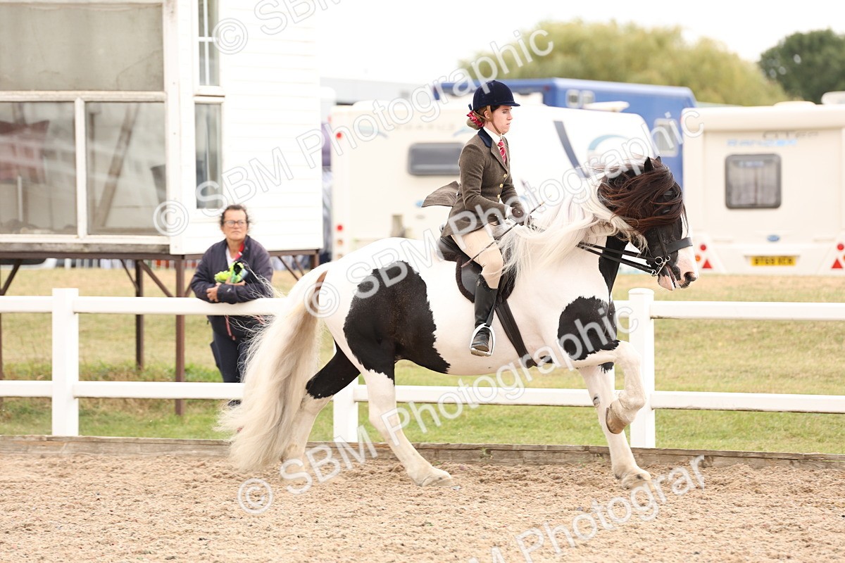 SBM_19667 - Class 216 - Ridden Traditional - Native Cob