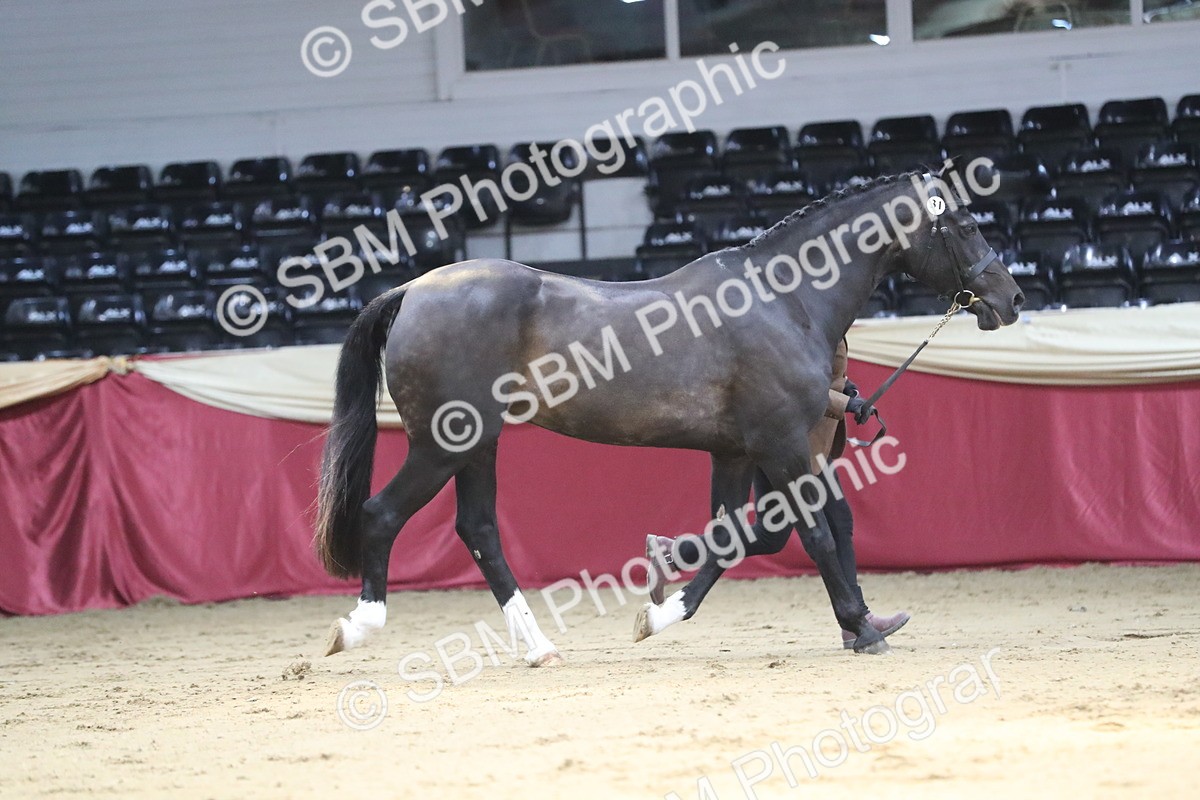 SBM_04396 - Class 7R Regional - IH Diamond