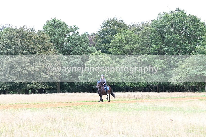 DSC_8704 - Time at Statue 13:52 to 14:33