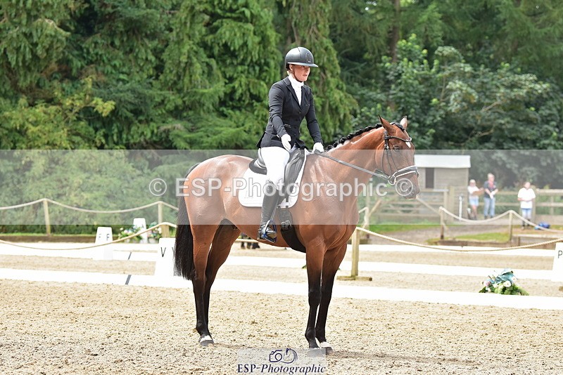 250719A-124510-05701 - 175-Louise.Hendy-Gulf.Of.Poets