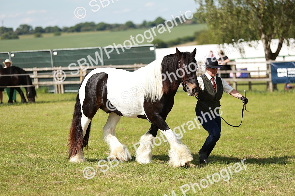 SBM_08811 - Class 63-65 - Traditional Gypsy Cobs In Hand & Ridden