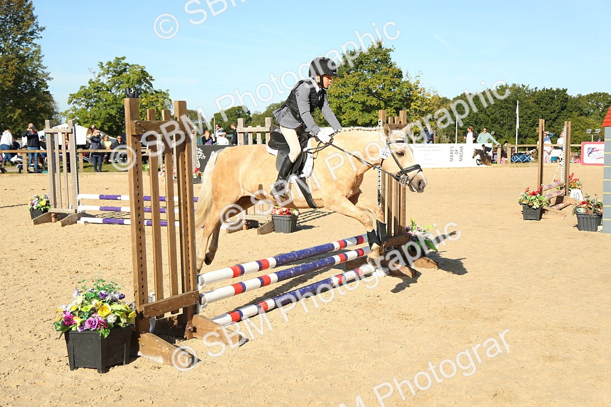 SBM_35876 - J5 - Junior Pony 50cm Championship