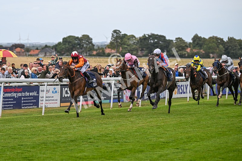 250824-Race 5-Lincoln Rockstar-3665 - Race 5